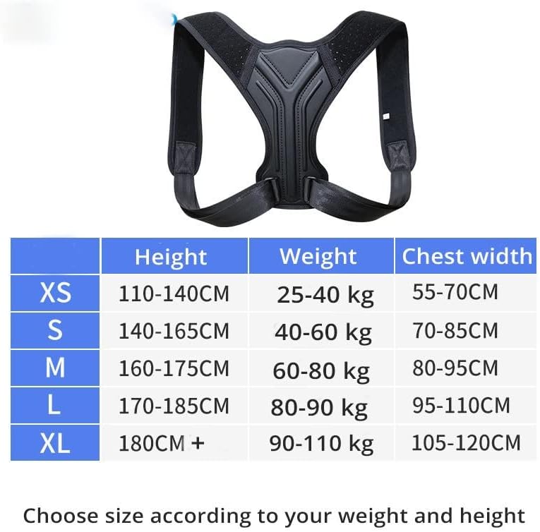 Soporte Postural para Espalda
