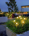 Luces Solares Luciérnaga Decorativas para Jardín (Caja x 4 ramales / 24 bombillas)